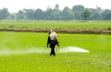 Do You Have to Pay Taxes on Roundup Settlement Checks