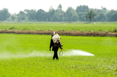 Roundup settlement check